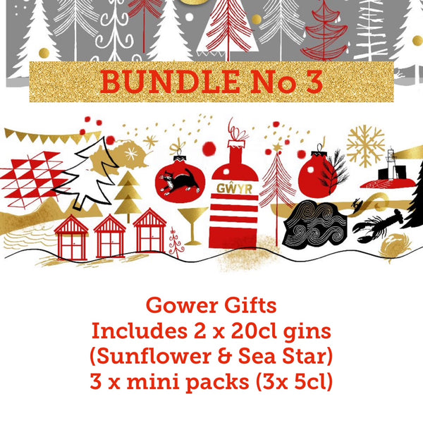 5 products - Festive Gower Gin Gifts Bundle