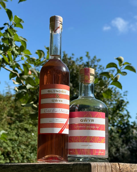 *NEW* Rhubarb Gin and Dry Rosé Vermouth Bundle